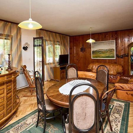 Apartmani Dr. Gasa Sokobanja Buitenkant foto