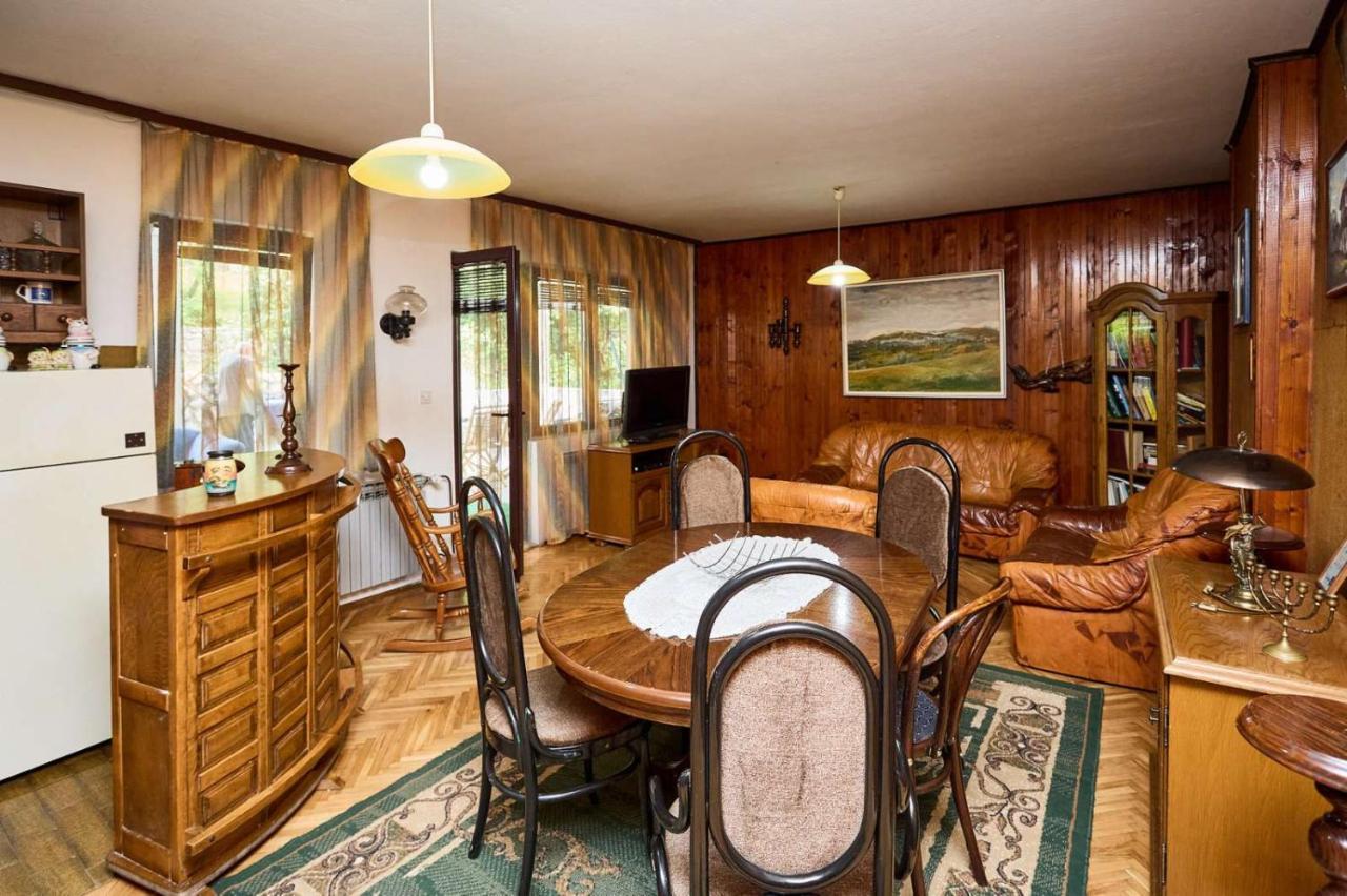 Apartmani Dr. Gasa Sokobanja Buitenkant foto