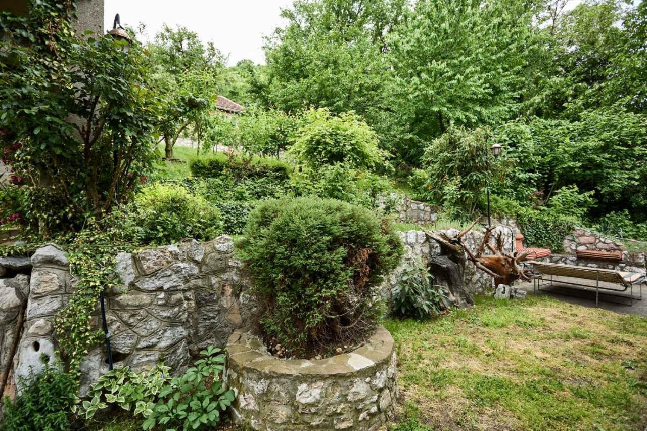 Apartmani Dr. Gasa Sokobanja Buitenkant foto